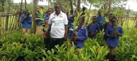 School children planting trees together